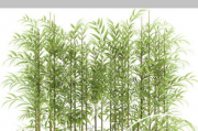 竹韵童趣：精美竹子玩具图片集锦